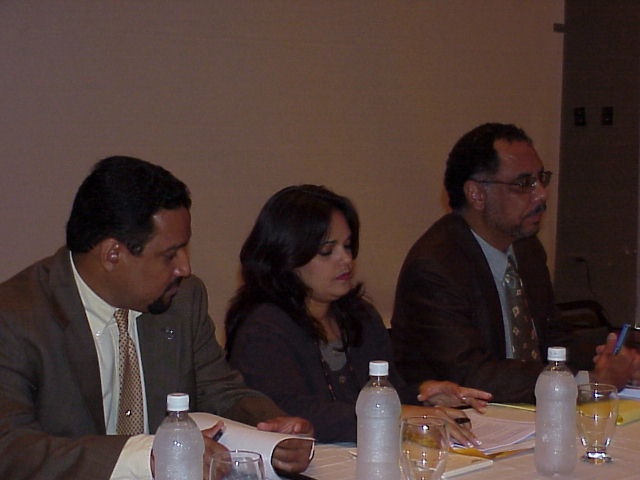 panel